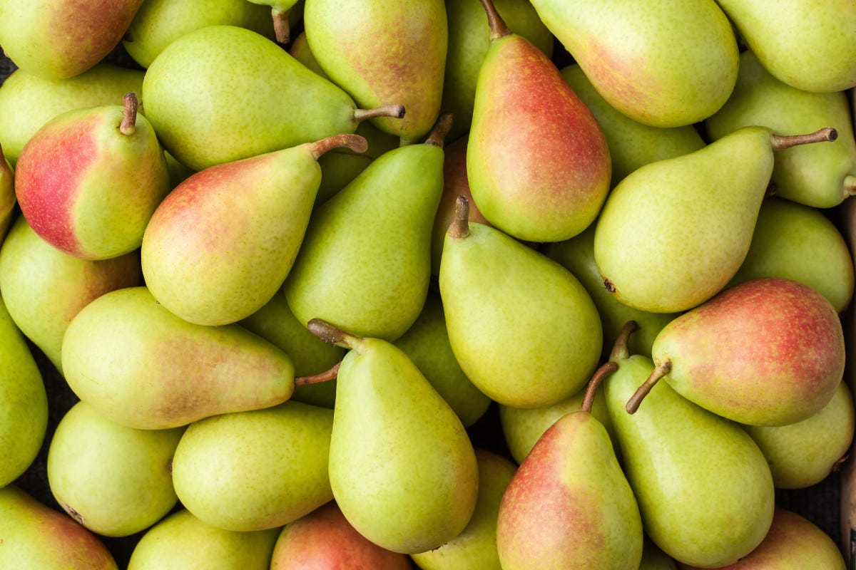 La Pera Coscia  Dal pistacchio al miele dalle fragole alle mele: tutto il gusto dell’Etna