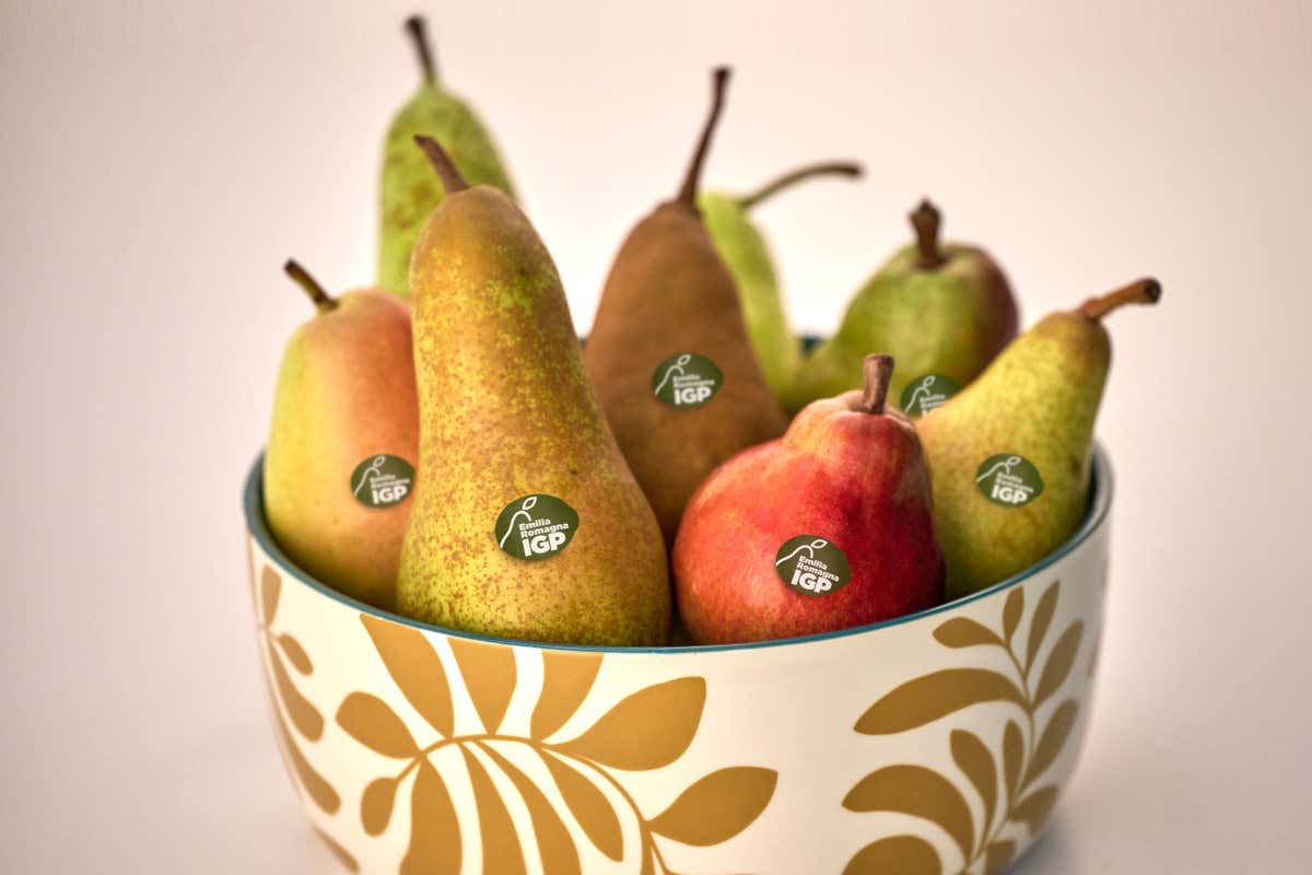 Il futuro della Pera Emilia-Romagna tra gusto e qualità certificata