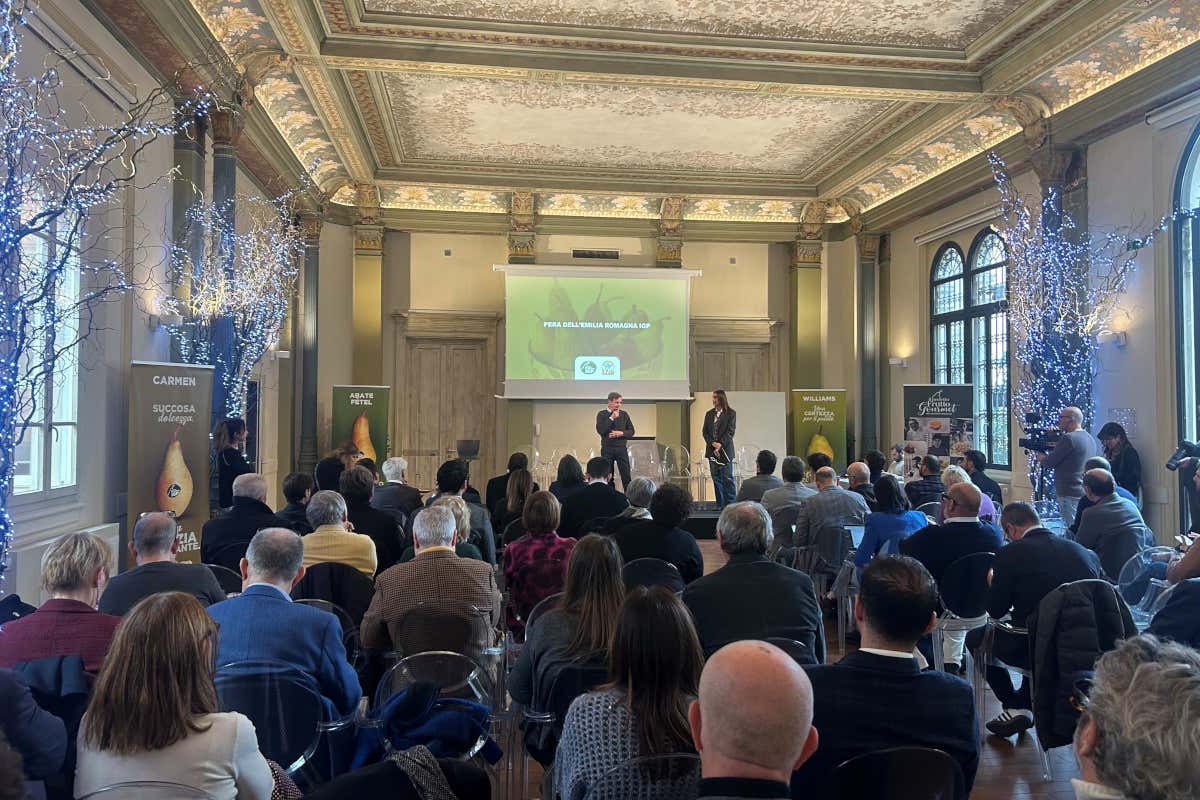 Il futuro della Pera Emilia-Romagna tra gusto e qualità certificata