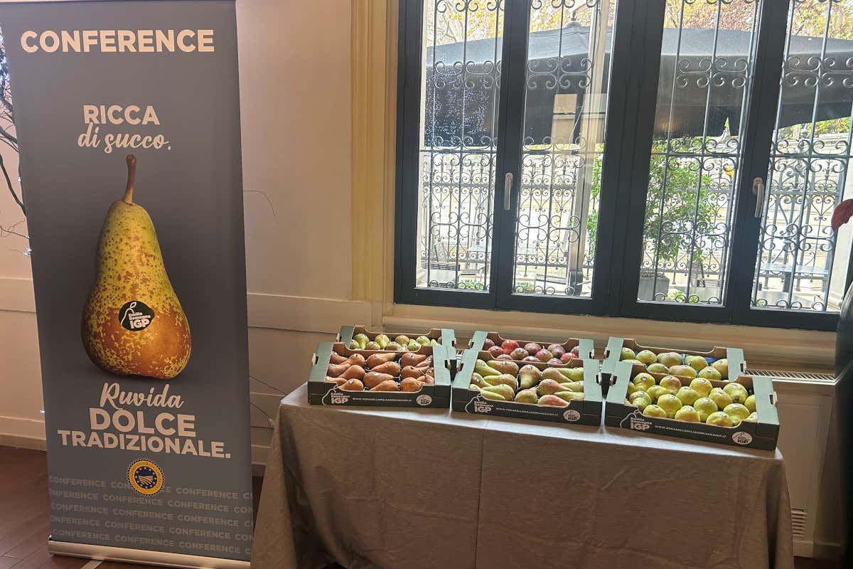 Il futuro della Pera Emilia-Romagna tra gusto e qualità certificata
