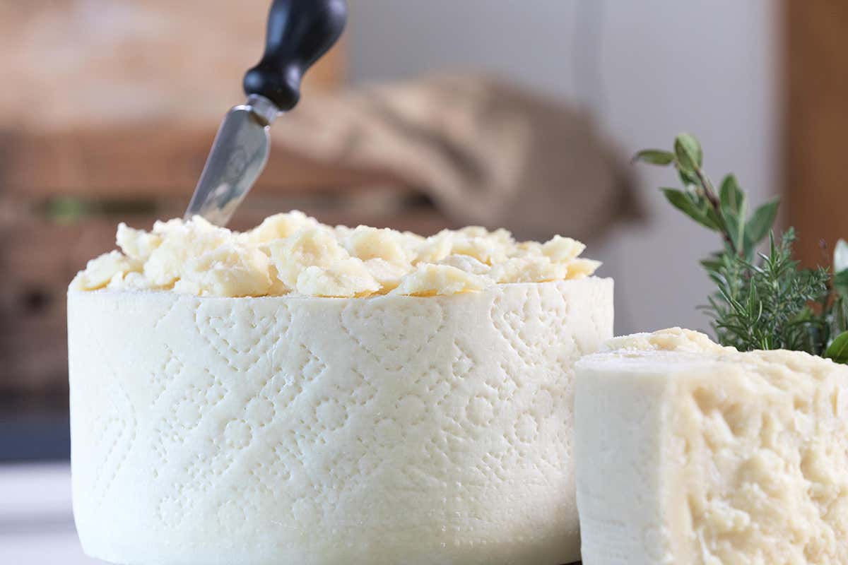 Il pecorino romano vola al Fancy Summer Food di New York Il pecorino romano vola al Fancy Summer Food di New York