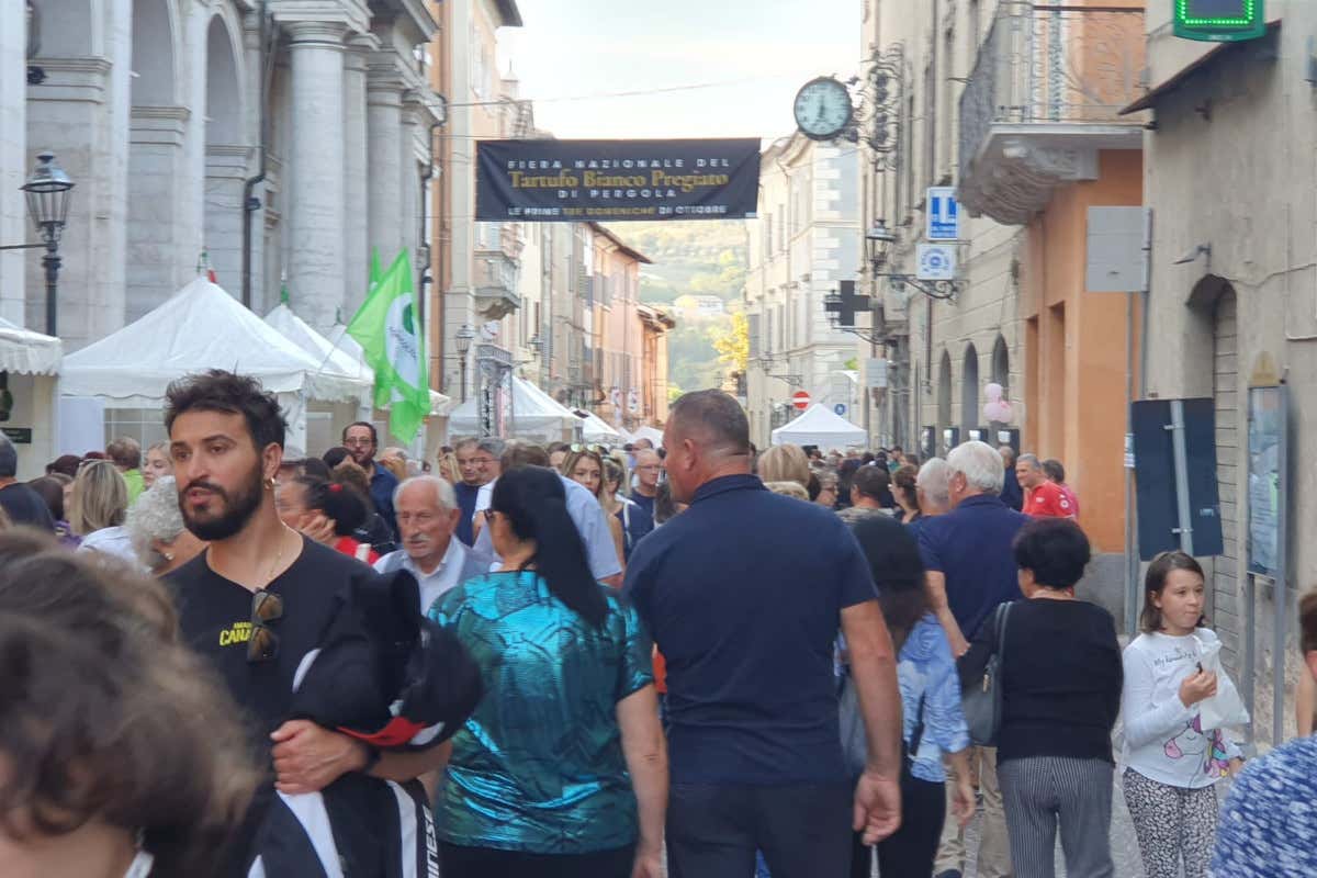 Ancora un successo la fiera di Pergola: il tartufo e la sua narrazione sono vincenti