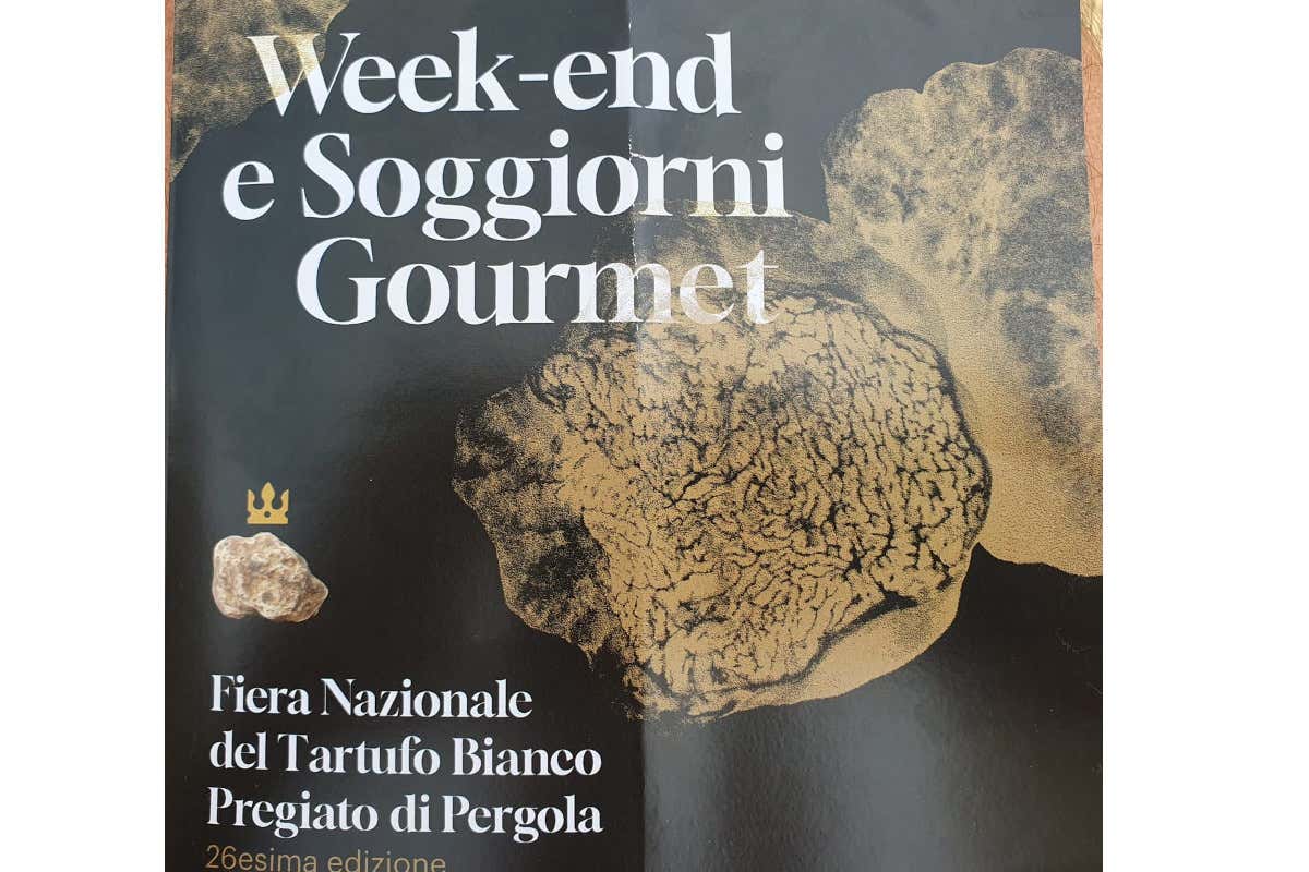 Pergola Presenta i "Tour del Tartufo" e Stefano Ciotti ne svela i segreti in cucina