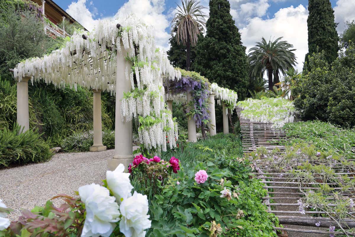 A Villa della Pergola si trova anche il glicine Relais