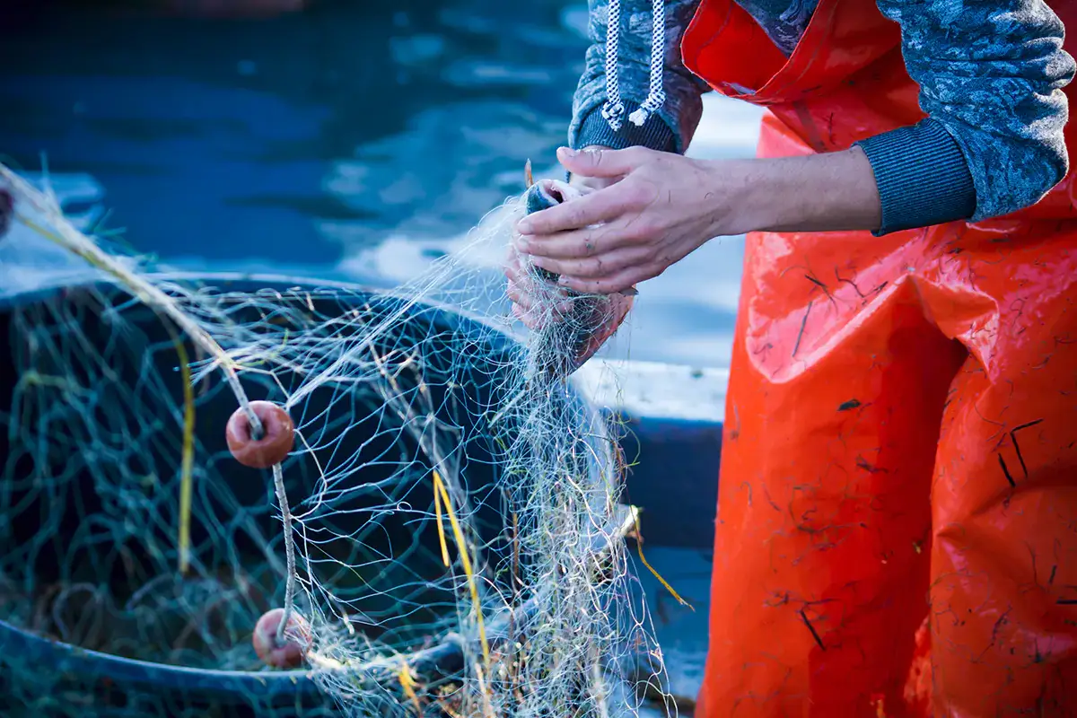 Per la pesca e l'acquacoltura, stanziati 20 milioni di euro Pesca e acquacoltura, dal ministero arrivano 20 milioni di euro