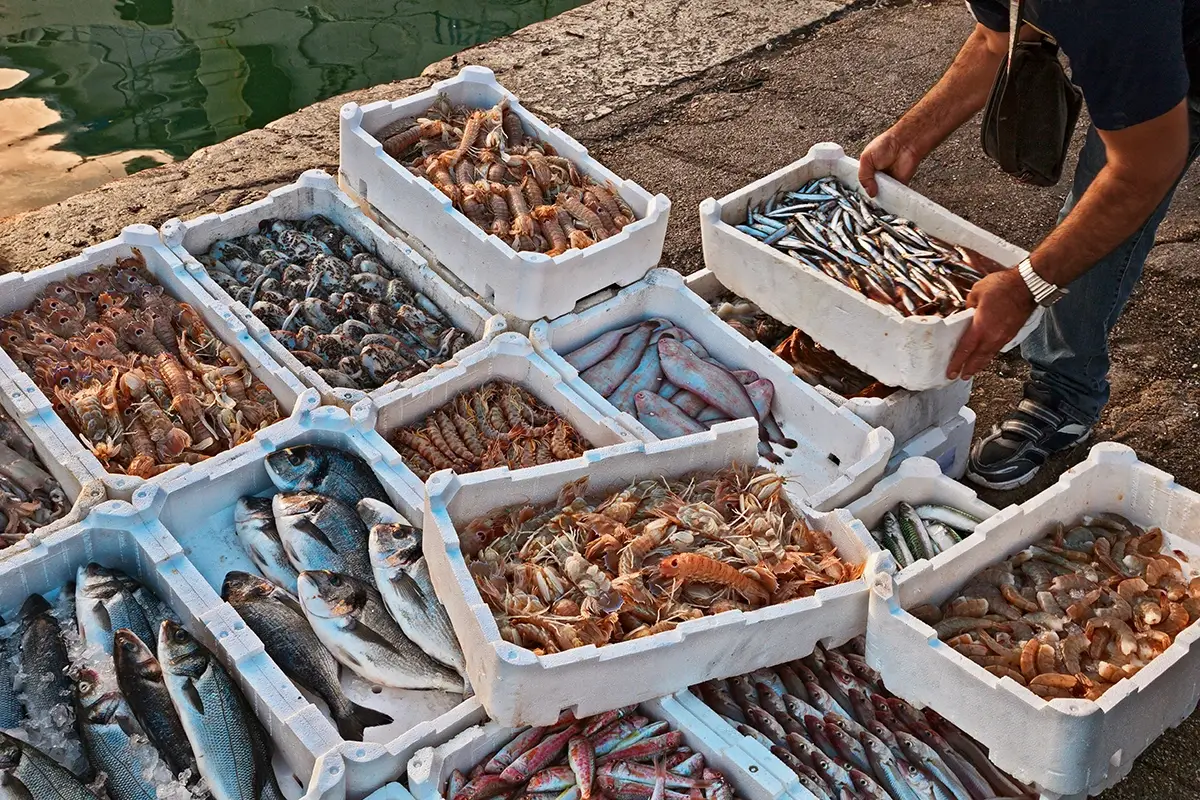 Scatta il fermo pesca su Tirreno e Ionio Stop al pesce fresco: fermo pesca su Tirreno e Ionio