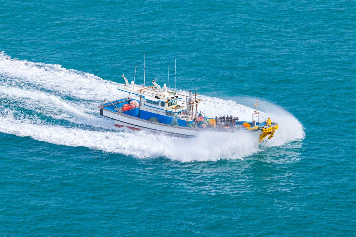 Ue: nessun taglio ai giorni di pesca a strascico per l'Italia nel 2025