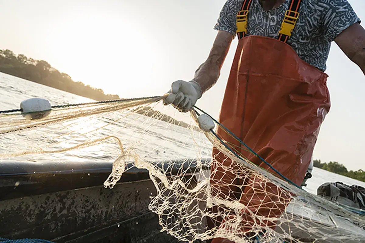 Fermo pesca, le barche del centro Adriatico tornano in mare