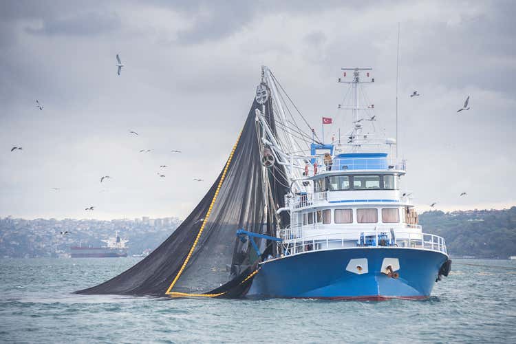 La produzione di pesce nell'oceano potrebbe aumentare di sei volte (Produzione di pesce, nel Blue Paper le regole su quantit&agrave; e sicurezza)