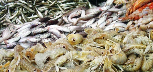 Pesce crudo al ristorante Multe più salate per i trasgressori