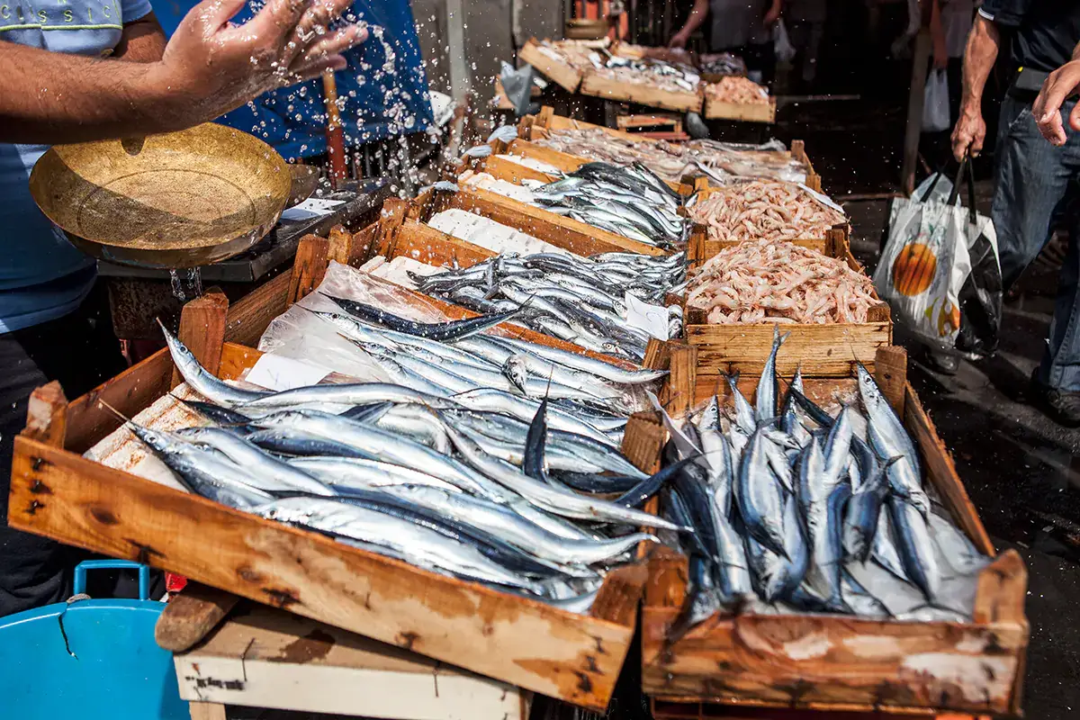 Sole, mare e ... pesce! Sole, mare e ... pesce. Ecco quale consumare d'estate
