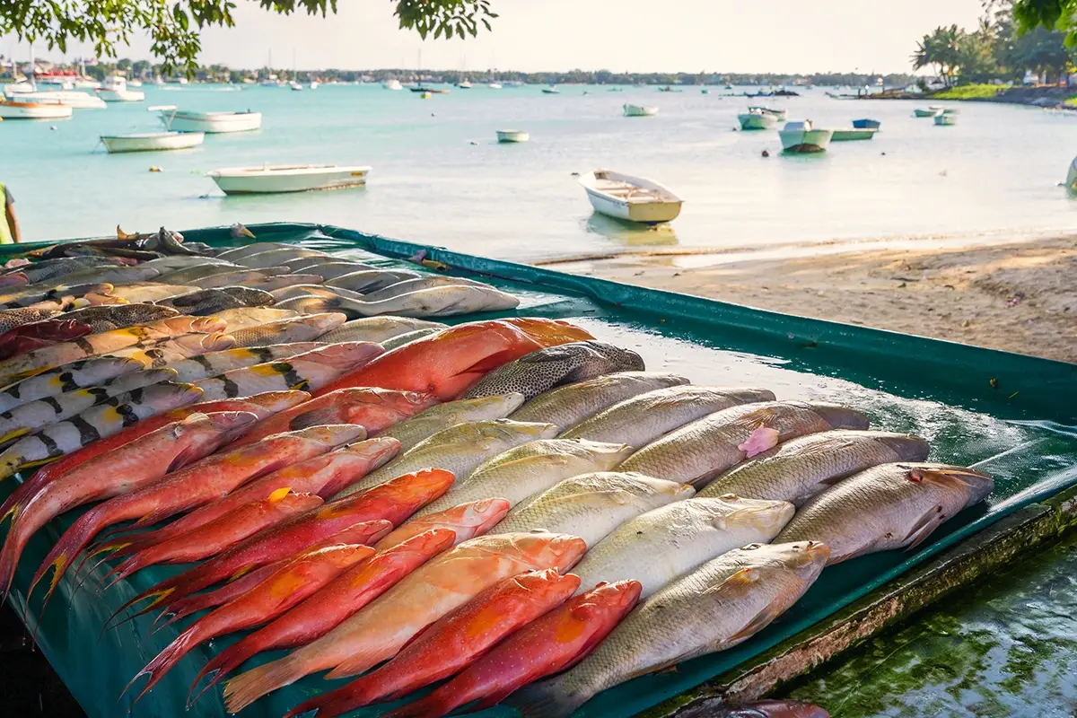 Il pesce &egrave; il re della cucina creola 