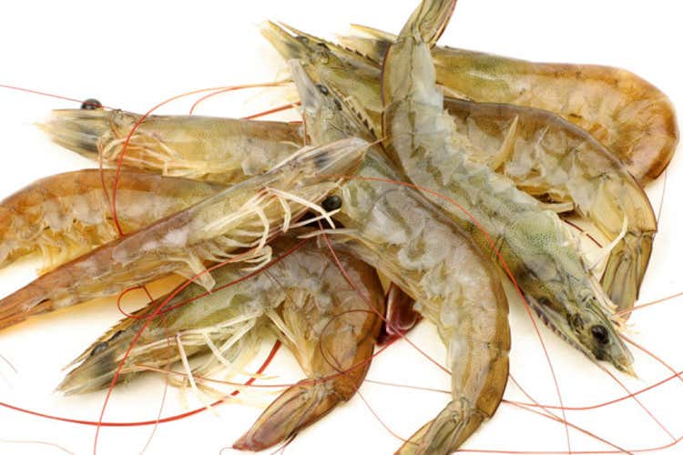 Con l'autunno, in tavola cambia anche l'offerta di pesce (Anche il pesce &egrave; di stagione Ma non sempre nella carta)