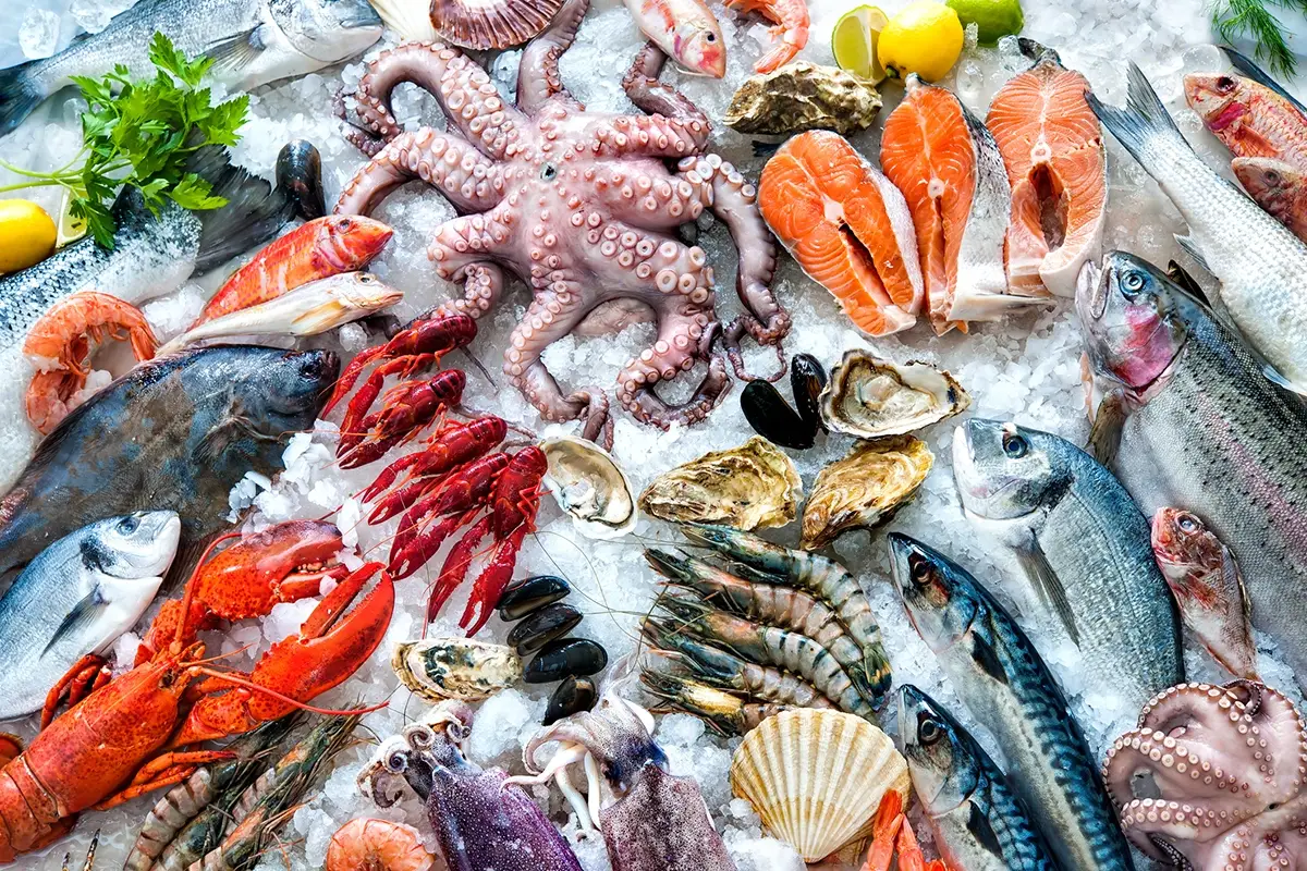 Quali sono i pesci migliori da mangiare per noi e per l&rsquo;ambiente? Salute e sostenibilit&agrave;: ecco quali pesci mangiare