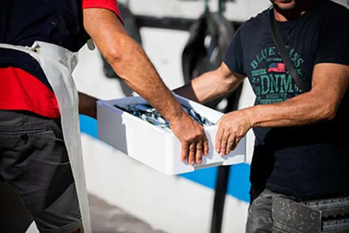 Lavoro sulla filiera del pesce La filiera del pesce: controlli sulla sicurezza fino all'ultimo passaggio