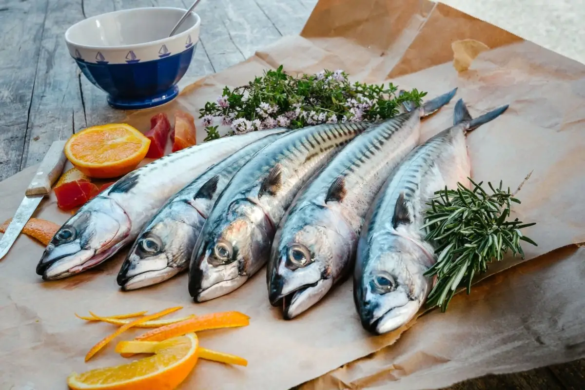 Pesce azzurro Sindrome da rientro? Con le Pok&eacute; per il restart ormonale gli ormoni ripartono e torna il buon umore