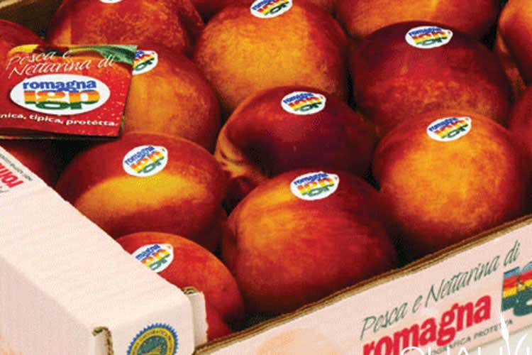 Le pesche di Romagna sono ottime per la salute - Pesca e nettarina di Romagna Igp regine della tavola nell'estate 2020 Le pesche di Romagna sono ottime per la salute - Pesca e nettarina di Romagna Igp regine della tavola nell'estate 2020