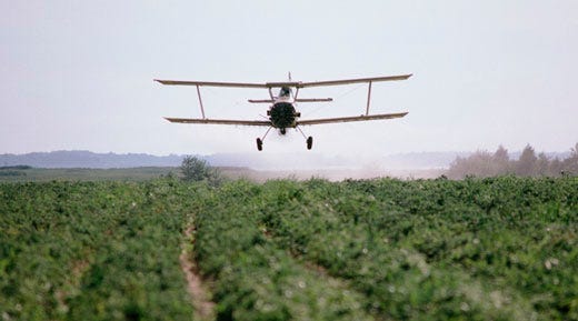 Pericolo pesticidi nel piatto 
Più controlli in agricoltura