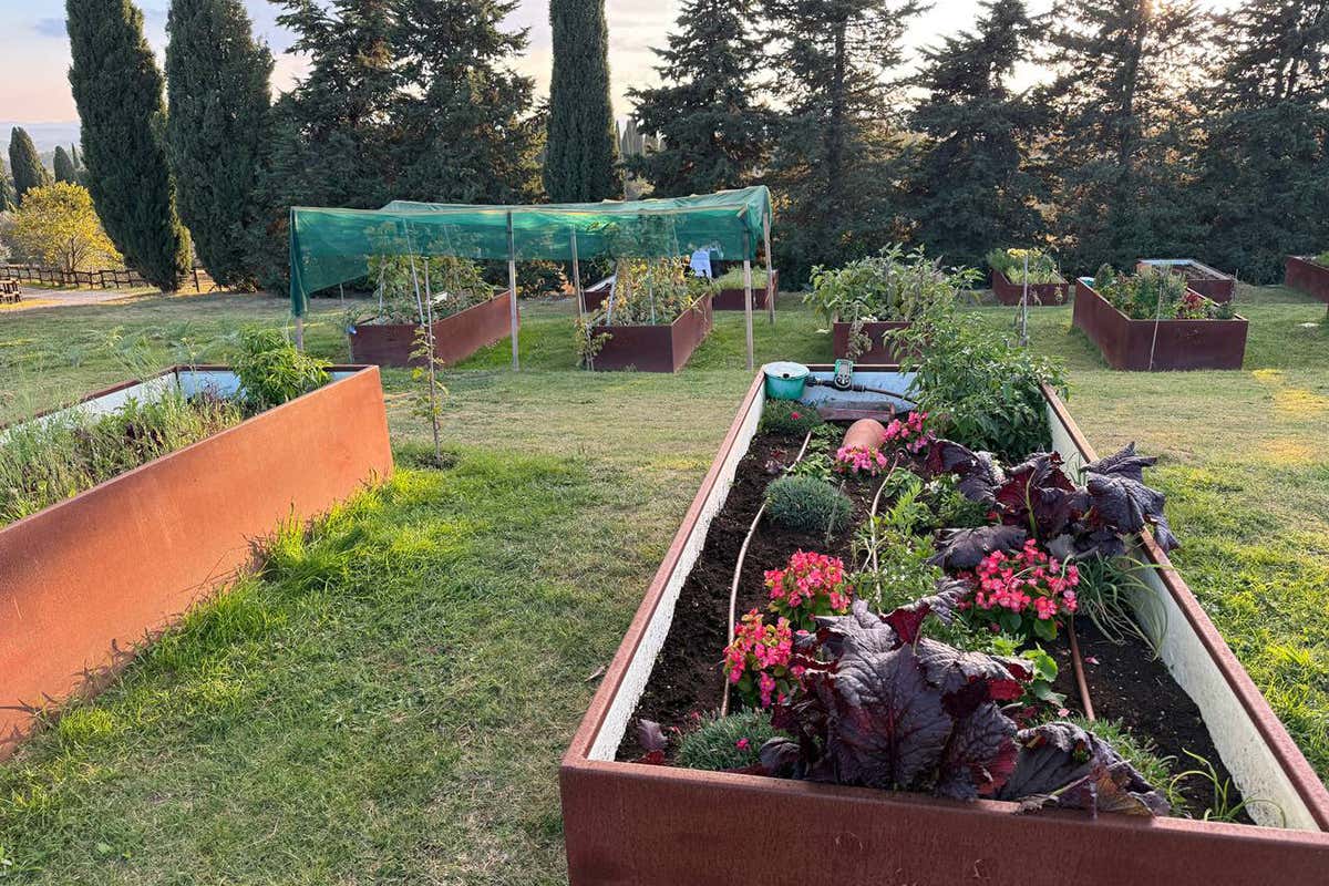 Toscana non solo da cartolina: il relais tra vigneti, orto e pici al ragù Toscana non solo da cartolina: il relais tra vigneti, orto e pici al ragù