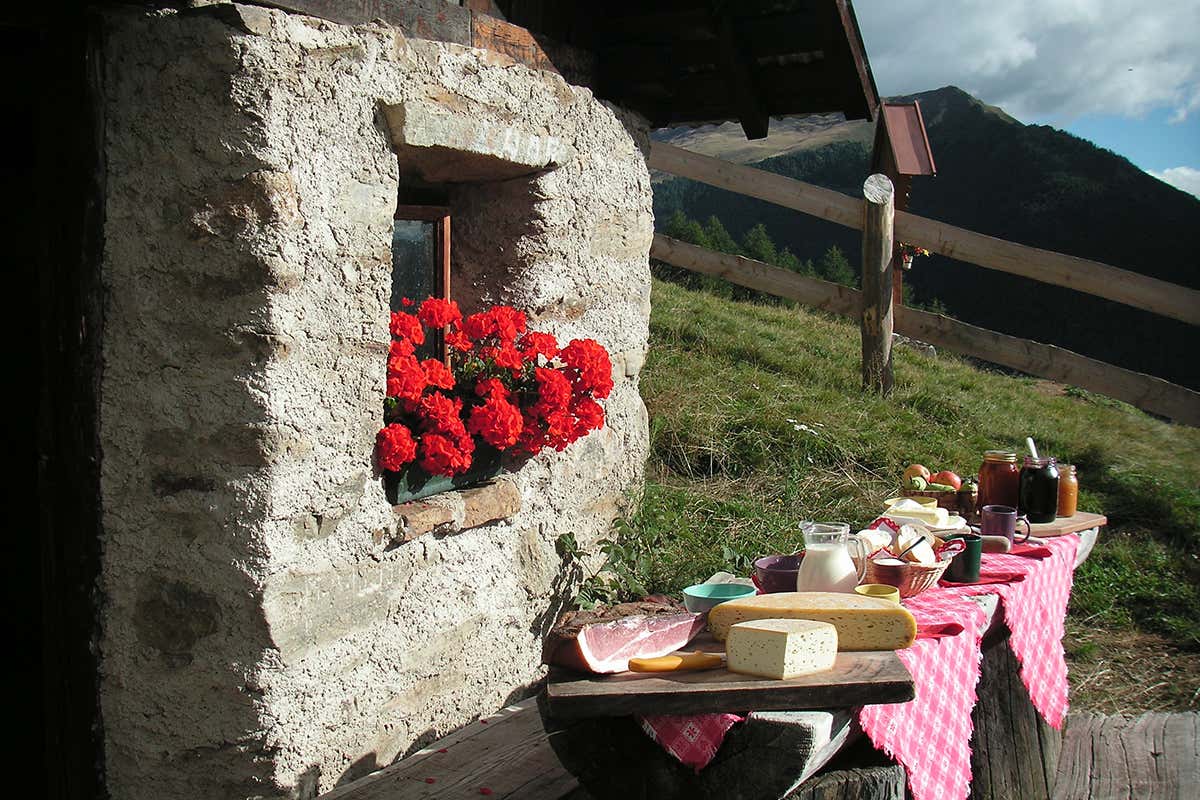 Piatti Tipici. Foto: Nicoletta Andreis In Val di Sole non ci sono pi&ugrave; le mezze stagioni, ma sinfonie!