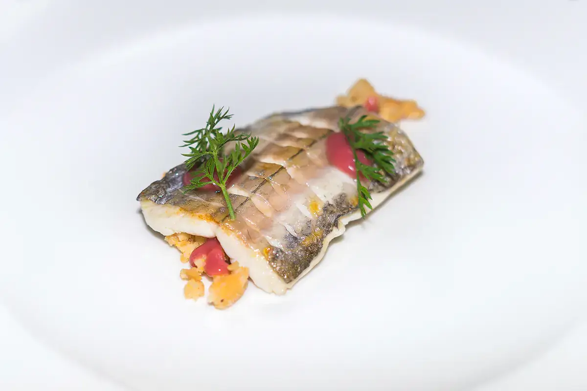 Alcuni piatti che si possono gustare a Il Nazionale Nel paese di Pinocchio si è accesa la Stella Michelin de Il Nazionale