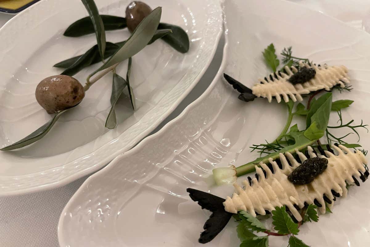 La Miranda, il ritorno al passato di Gianni D'Amato