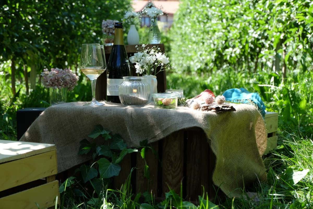 Apericena green tra i filari di mele della Val di Non