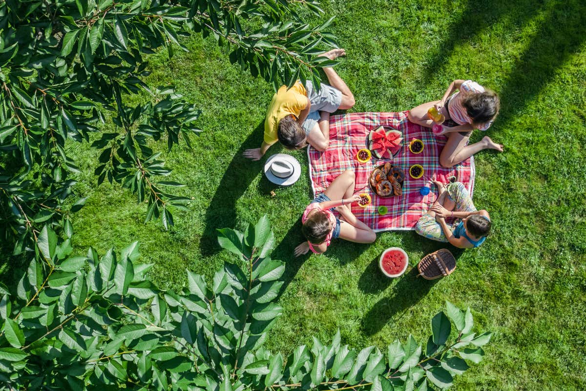 Ecofriendly, chic e multietnico: ecco perché il picnic è sempre di moda