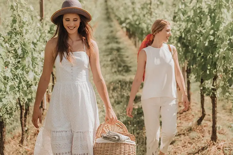 Il picnic tra le vigne con cestino gourmet Viaggio nella Romagna autentica Tra vino, yoga e camminate