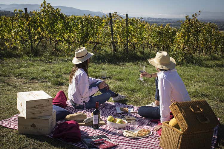 Picnic tra le vigne - Romantico, sfizioso e palstic free Il picnic principe dell'estate lenta