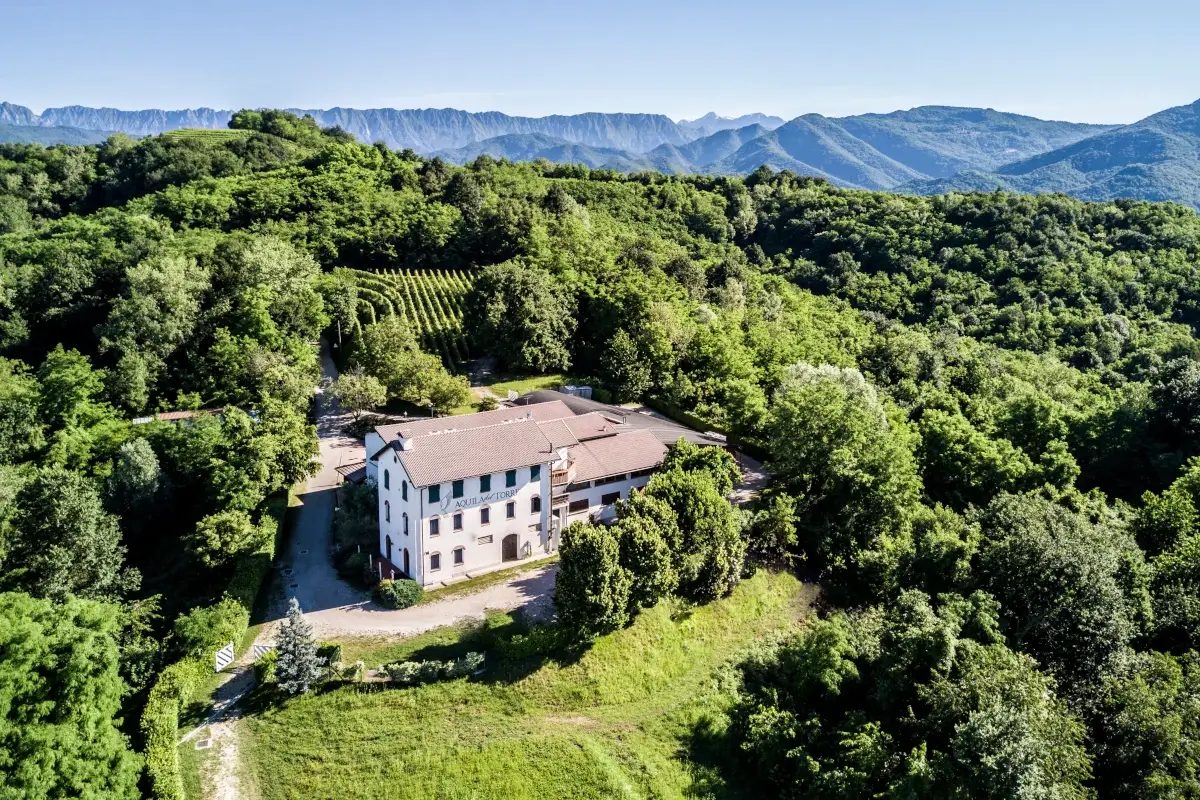 L'azienda Aquila del Torre, i vini friulani incontrano la cucina romana