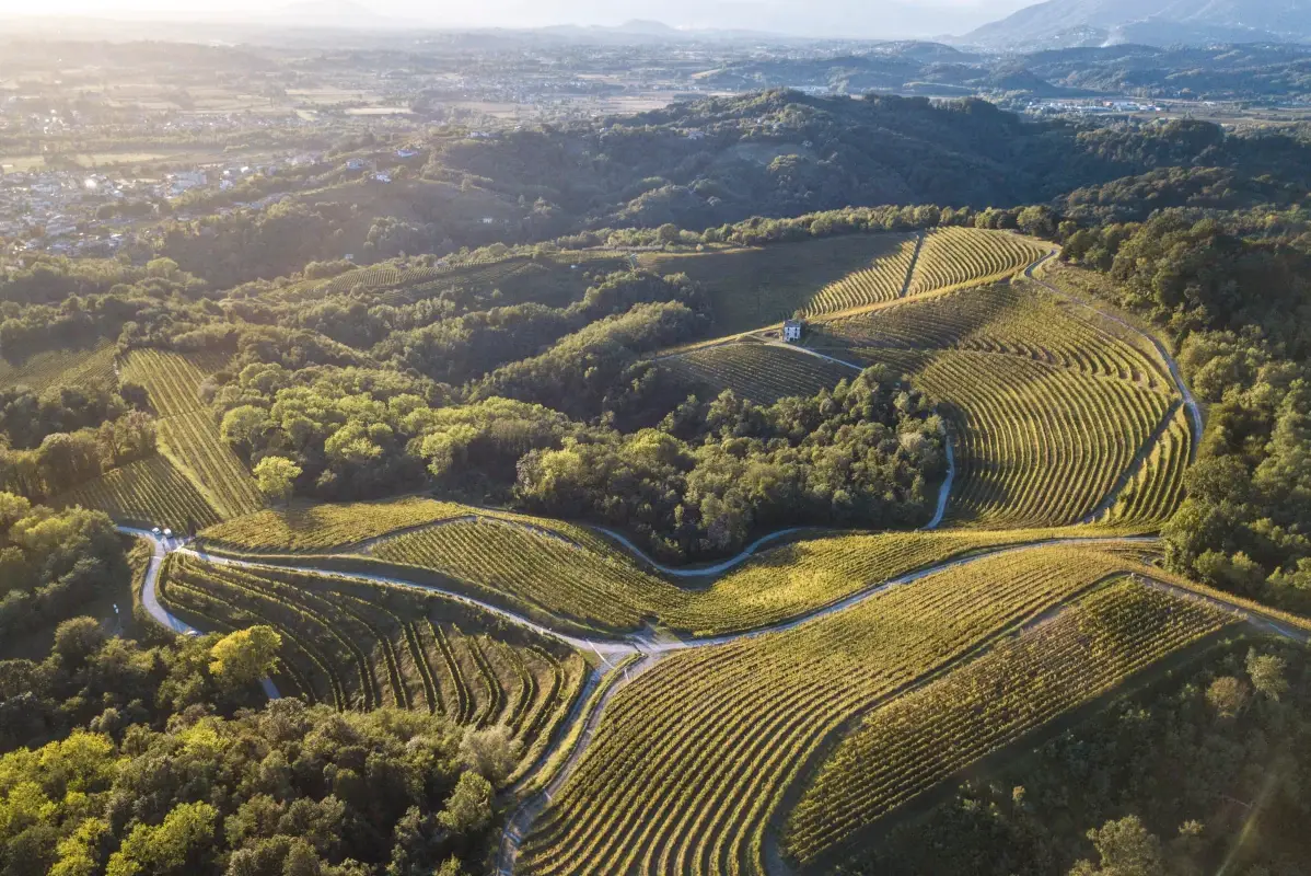 I vigneti Aquila del Torre, i vini friulani incontrano la cucina romana