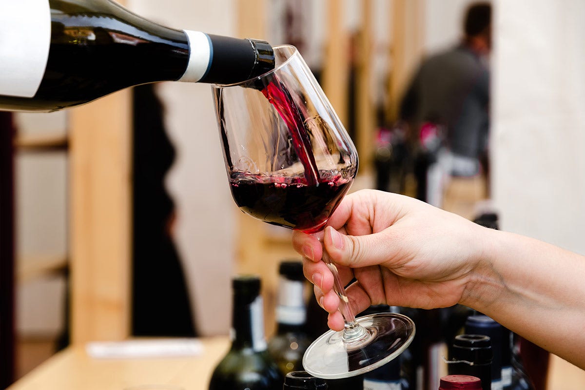 Piemonte vinicolo: bene la produzione, cresce il biologico, boom del rosato