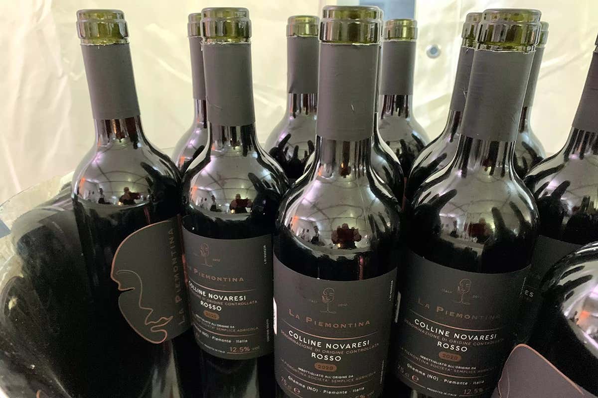 Colline Novaresi Doc Rosso La Piemontina: vino e promozione del territorio Colline Novaresi Doc Rosso La Piemontina: vino e promozione del territorio