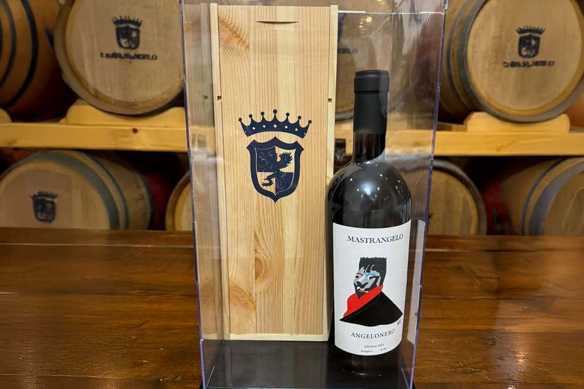 Quando il vino si tocca: l’etichetta artistica e inclusiva che rompe gli schemi dell’Angelo Nero Quando il vino si tocca: l’etichetta artistica e inclusiva che rompe gli schemi dell’Angelo Nero