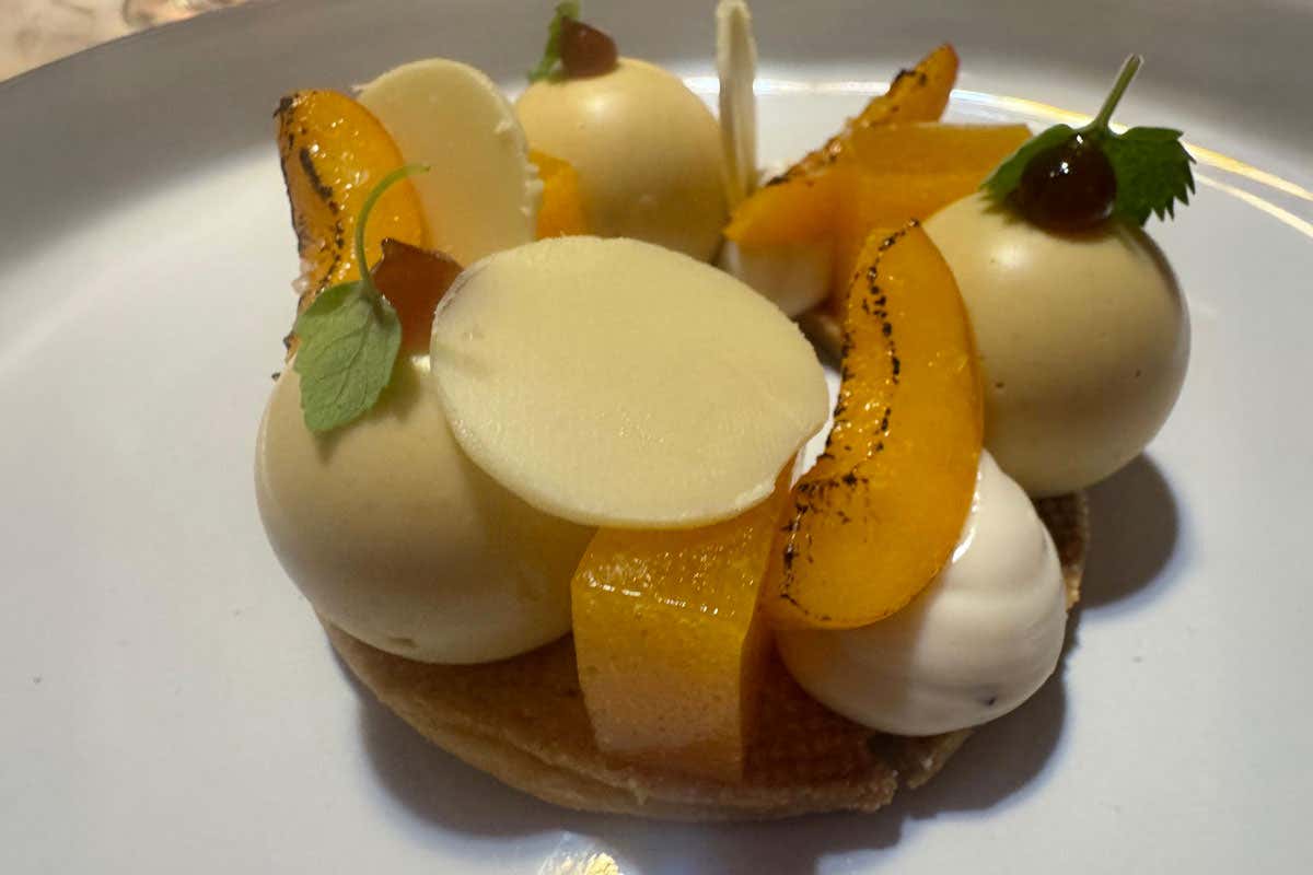 Cibo vegano, senza rinunce: a Torino un ristorante che lo dimostra Cibo vegano, senza rinunce: a Torino un ristorante che lo dimostra