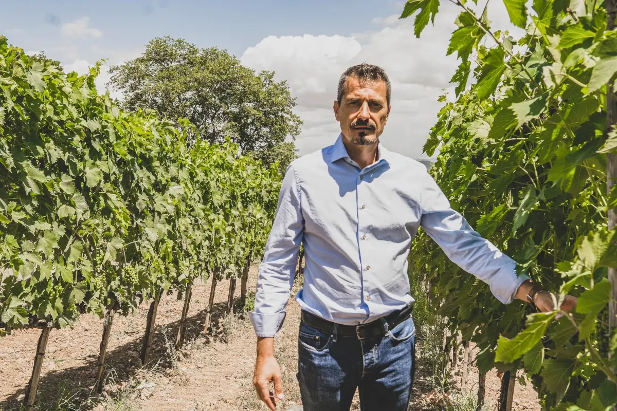 Pierangelo Tommasi &ldquo;Le Famiglie storiche&rdquo;: nuova guida fra i pap&agrave; dell'Amarone