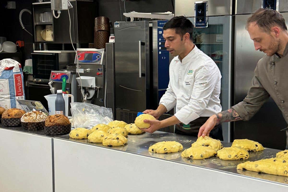 Pandoro e panettone: un corso per svelare gli errori più comuni e come evitarli Pandoro e panettone: un corso per svelare gli errori più comuni e come evitarli