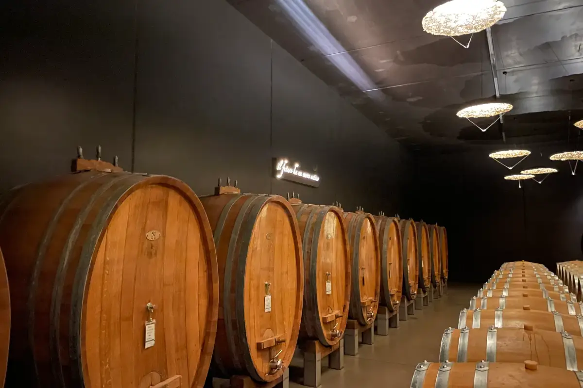 Nella nuova cantina Pieropan si incontrano storia e innovazione