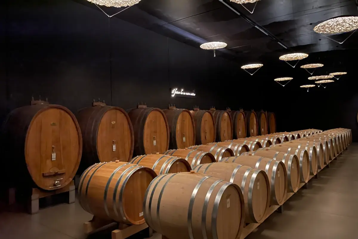Nella nuova cantina Pieropan si incontrano storia e innovazione