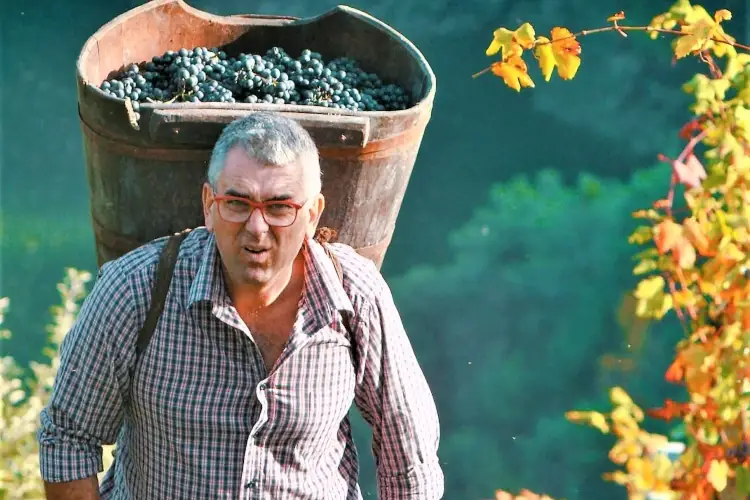 Pietro Pancheri&nbsp; Non solo mele: la viticoltura eroica della Val di Non