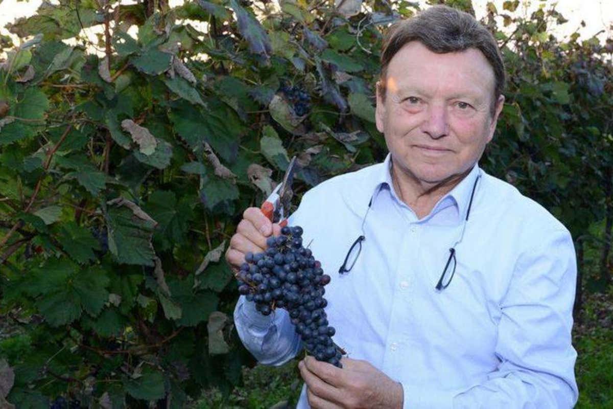 Vigneti Pittaro, il fondatore lascia in eredità ai dipendenti l'azienda vinicola Vigneti Pittaro, il fondatore lascia in eredità ai dipendenti l'azienda vinicola