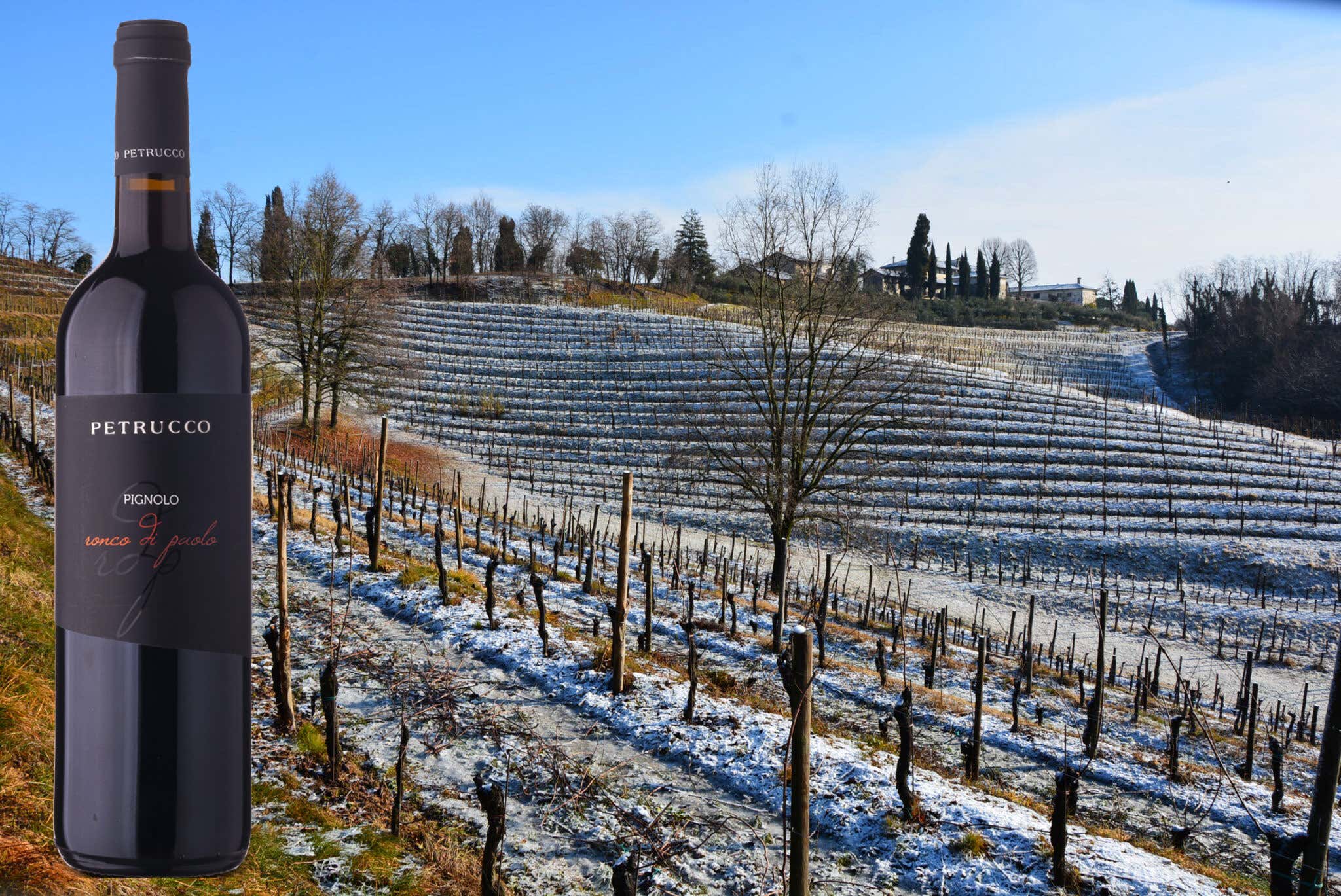 Buttrio, cantina Petrucco: dalla nascita casuale alla crescita