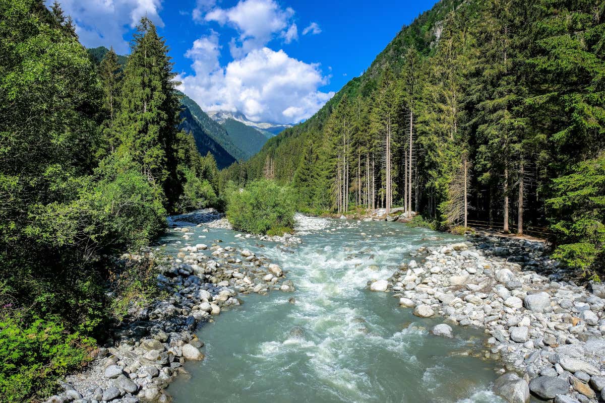 L'estate di Madonna di Campiglio è a ritmo della natura e della musica