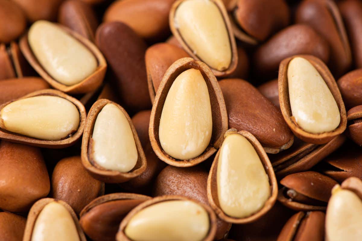 Pinoli, piccoli semi dal grande valore: storia, proprietà e usi in cucina