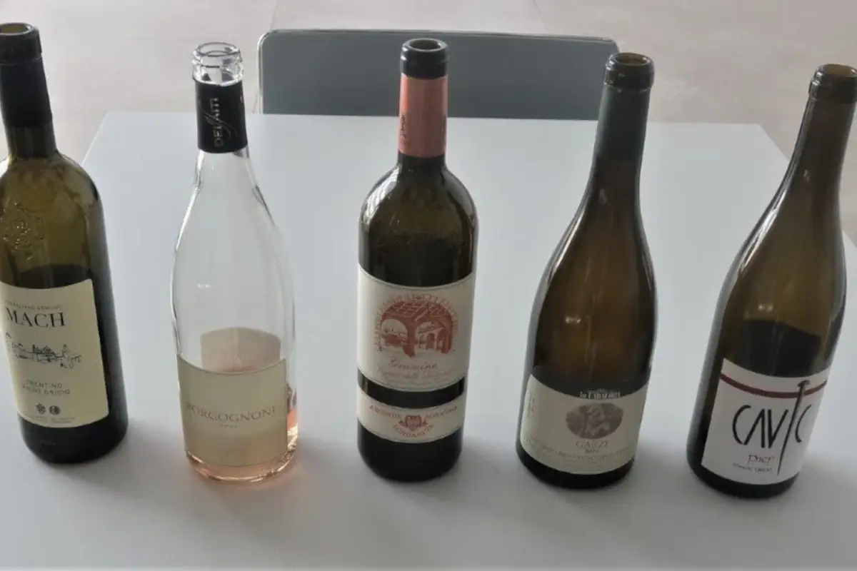 Una Docg per il Pinot Grigio trentino?