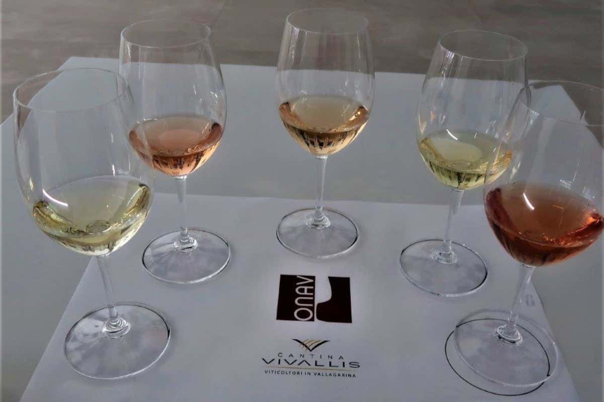 Una Docg per il Pinot Grigio trentino?