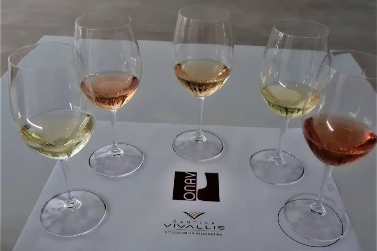 Una Docg per il Pinot Grigio trentino?