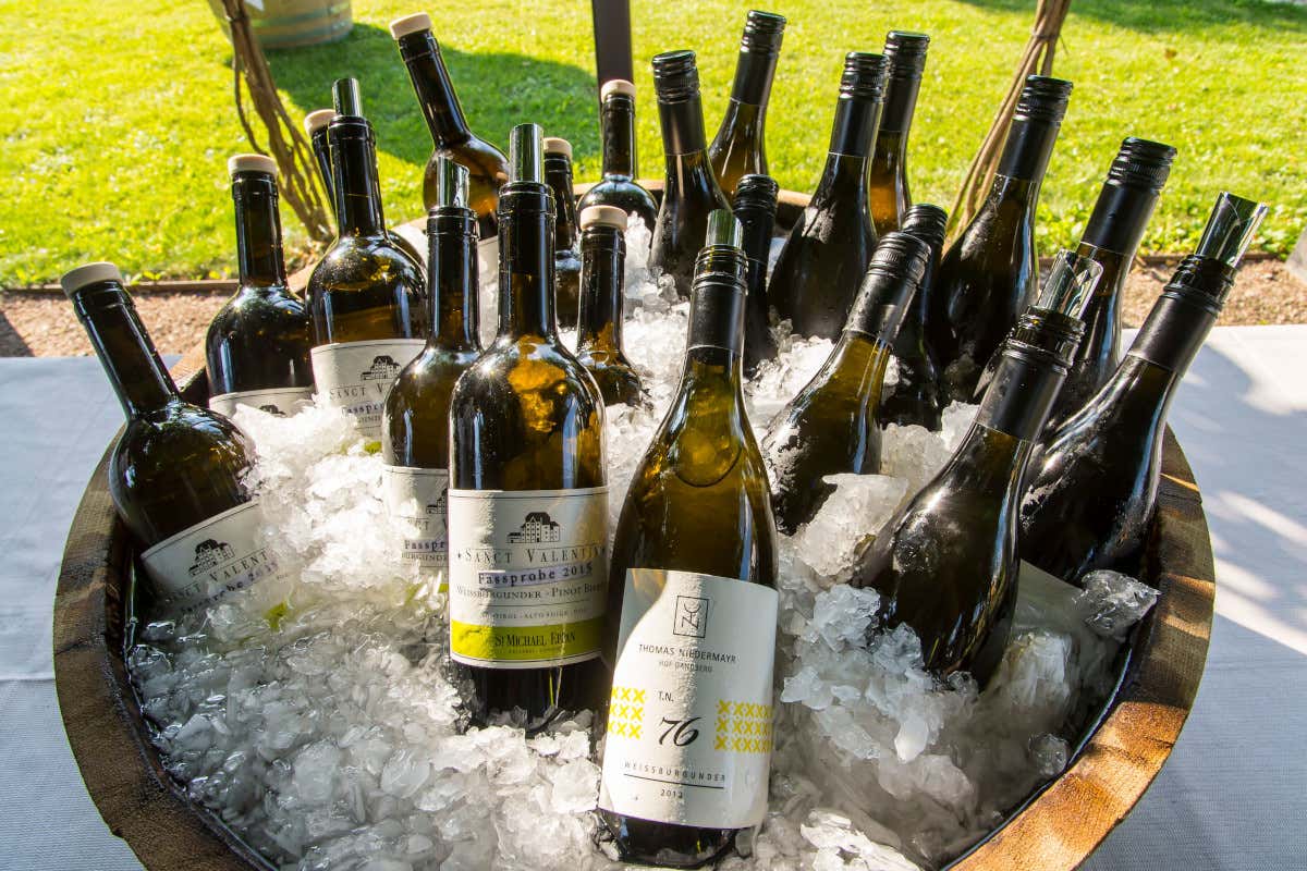 Tutto pronto per la quarta edizione di “Spatium Pinot Blanc”