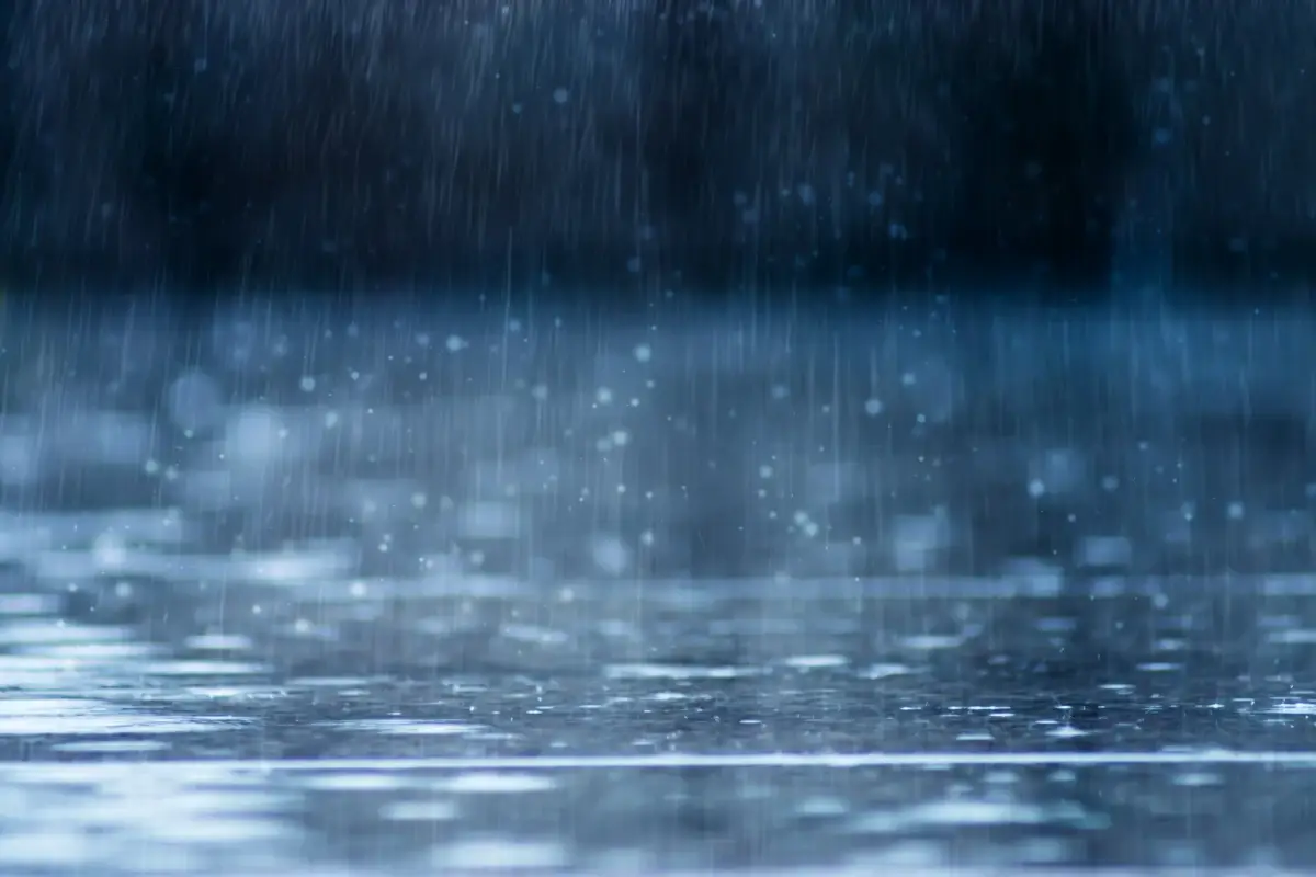 Campagne sotto l'acqua